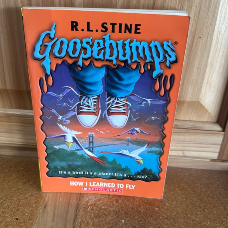 How I Learned to Fly