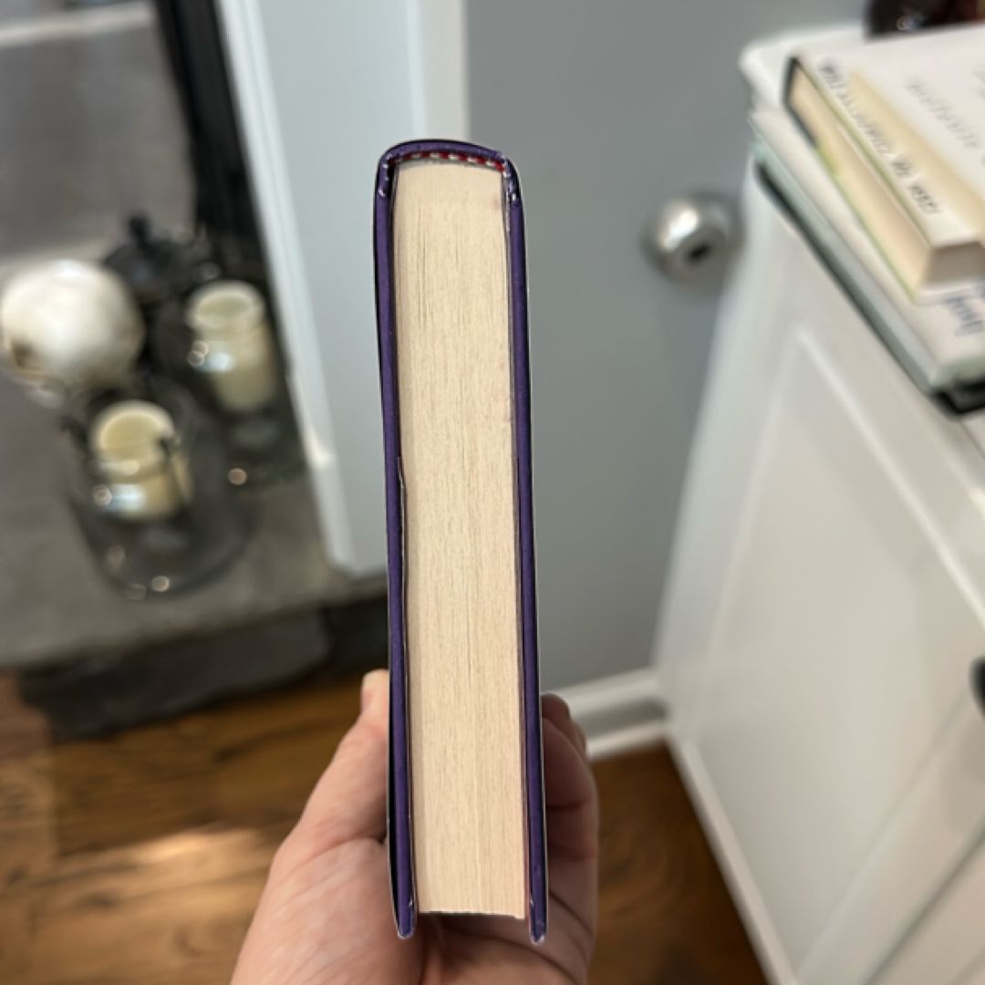 When We Flew Away: a Novel of Anne Frank Before the Diary