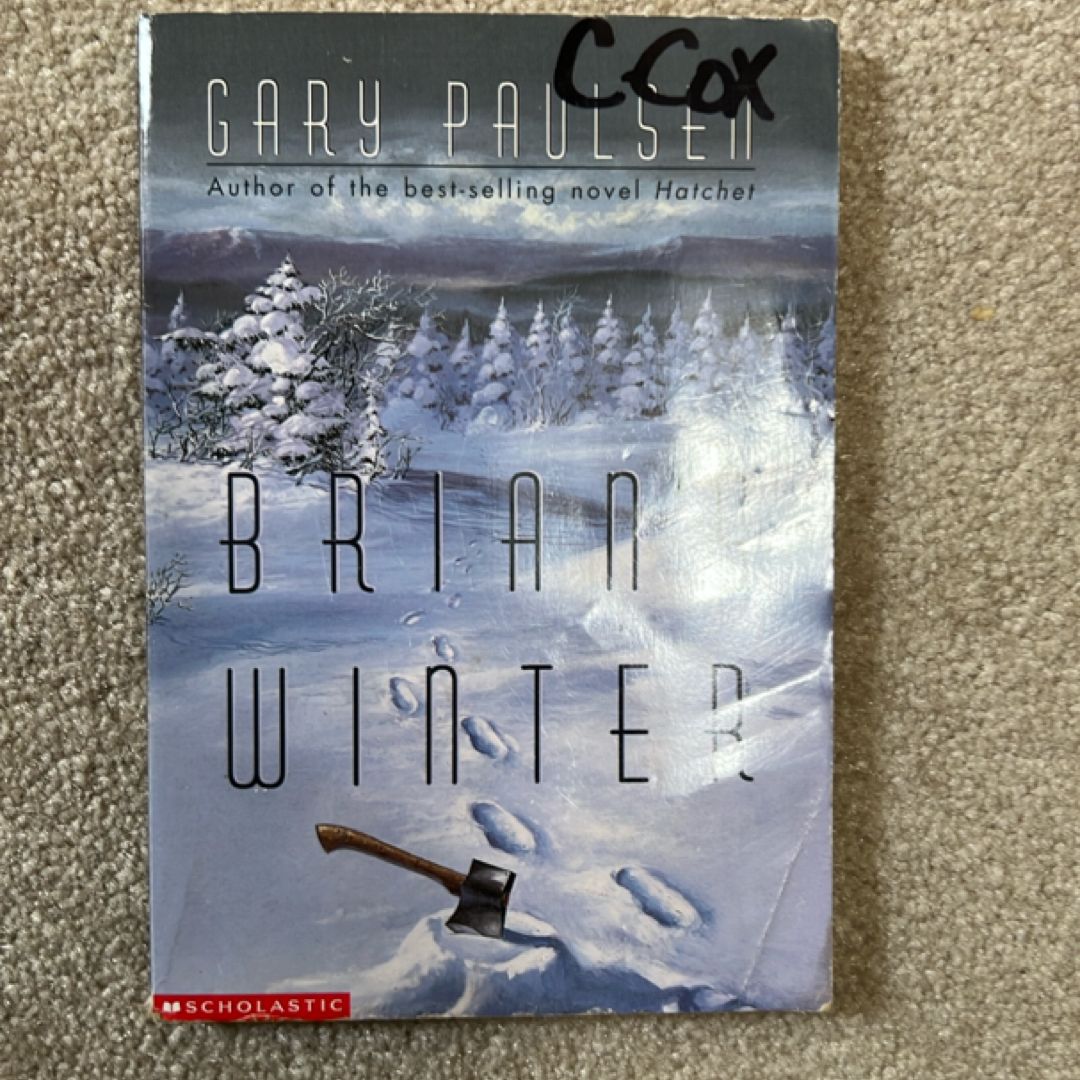 Brian's Winter