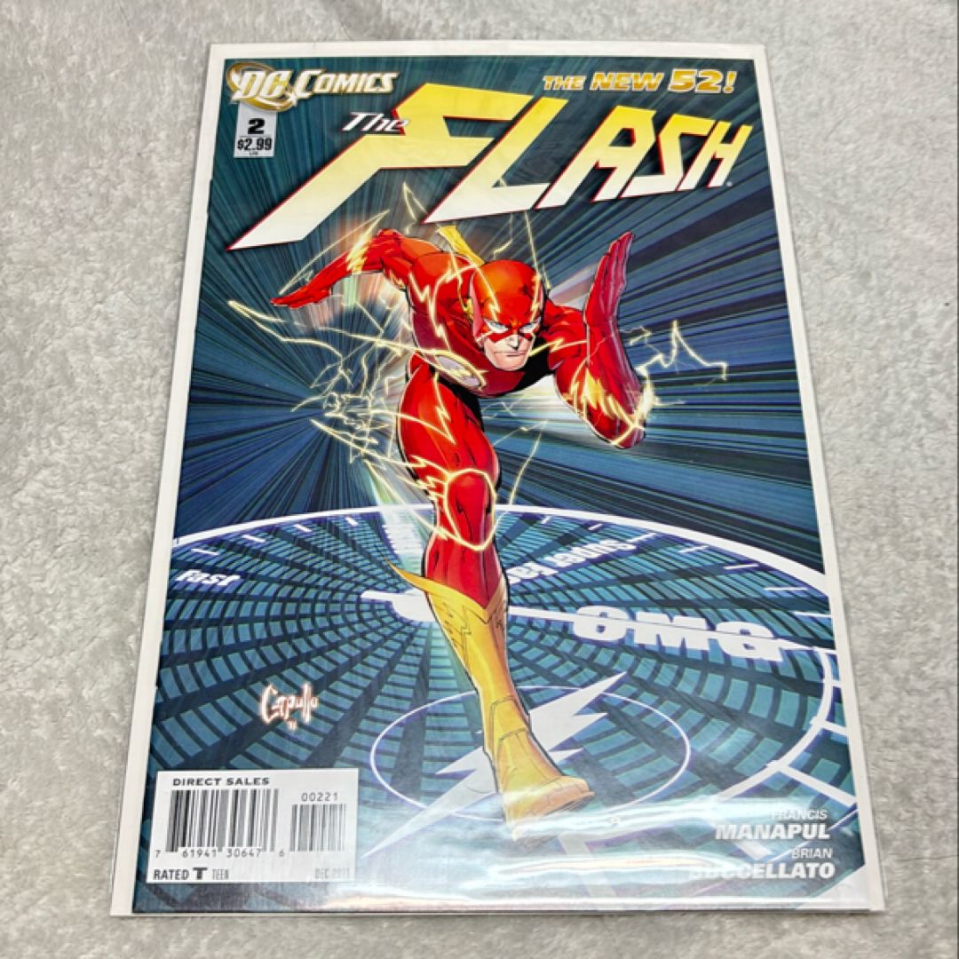 The Flash #2
