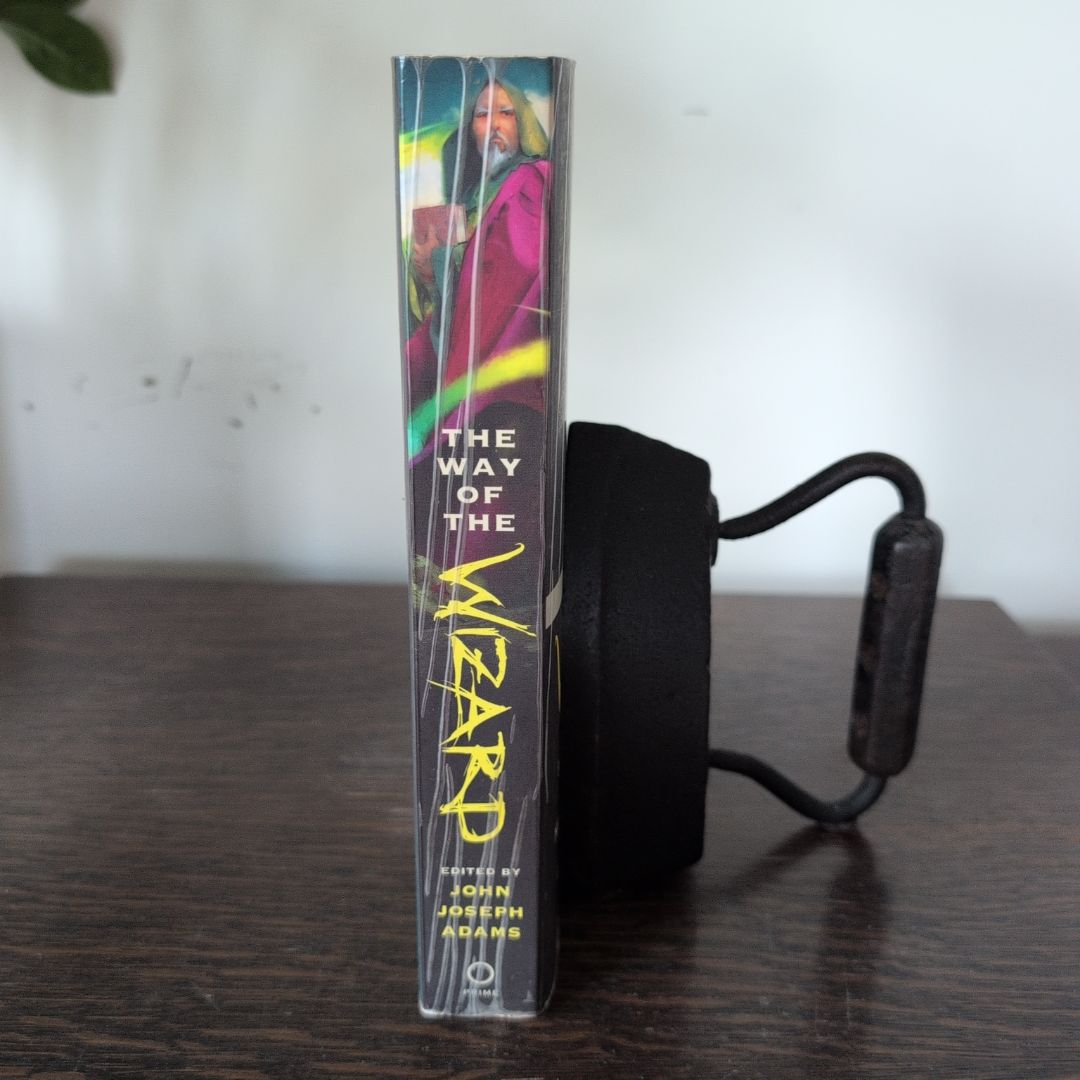 The Way of the Wizard