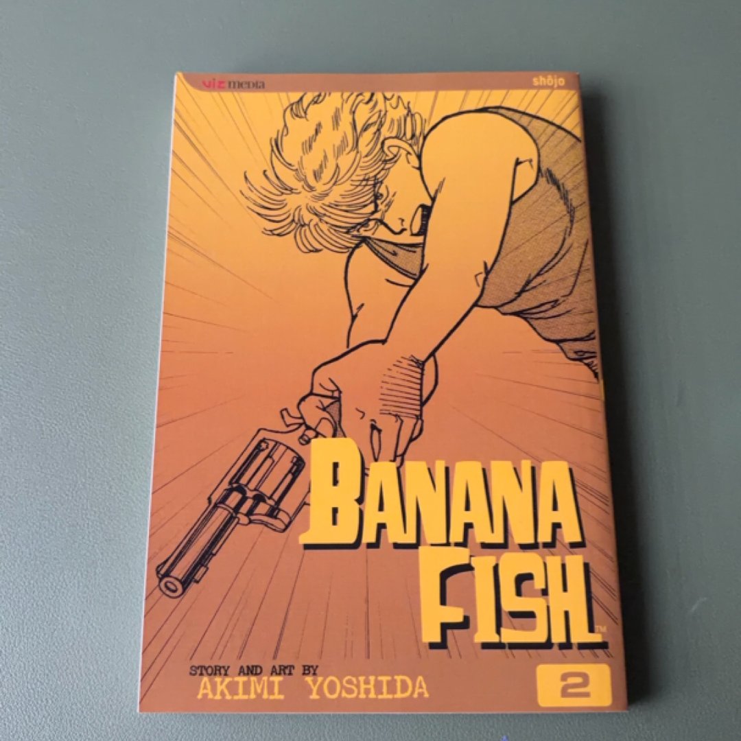Banana Fish, Vol. 2