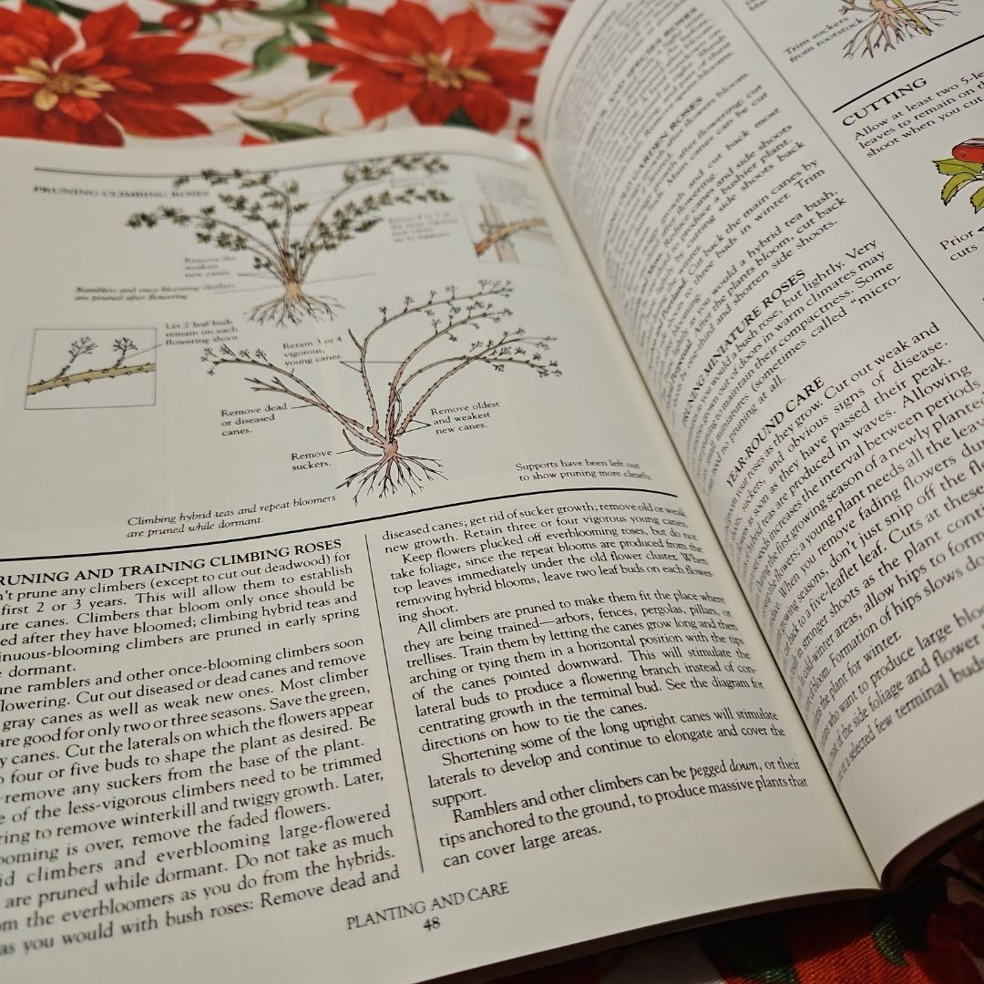 All about Roses by Ortho Books Staff