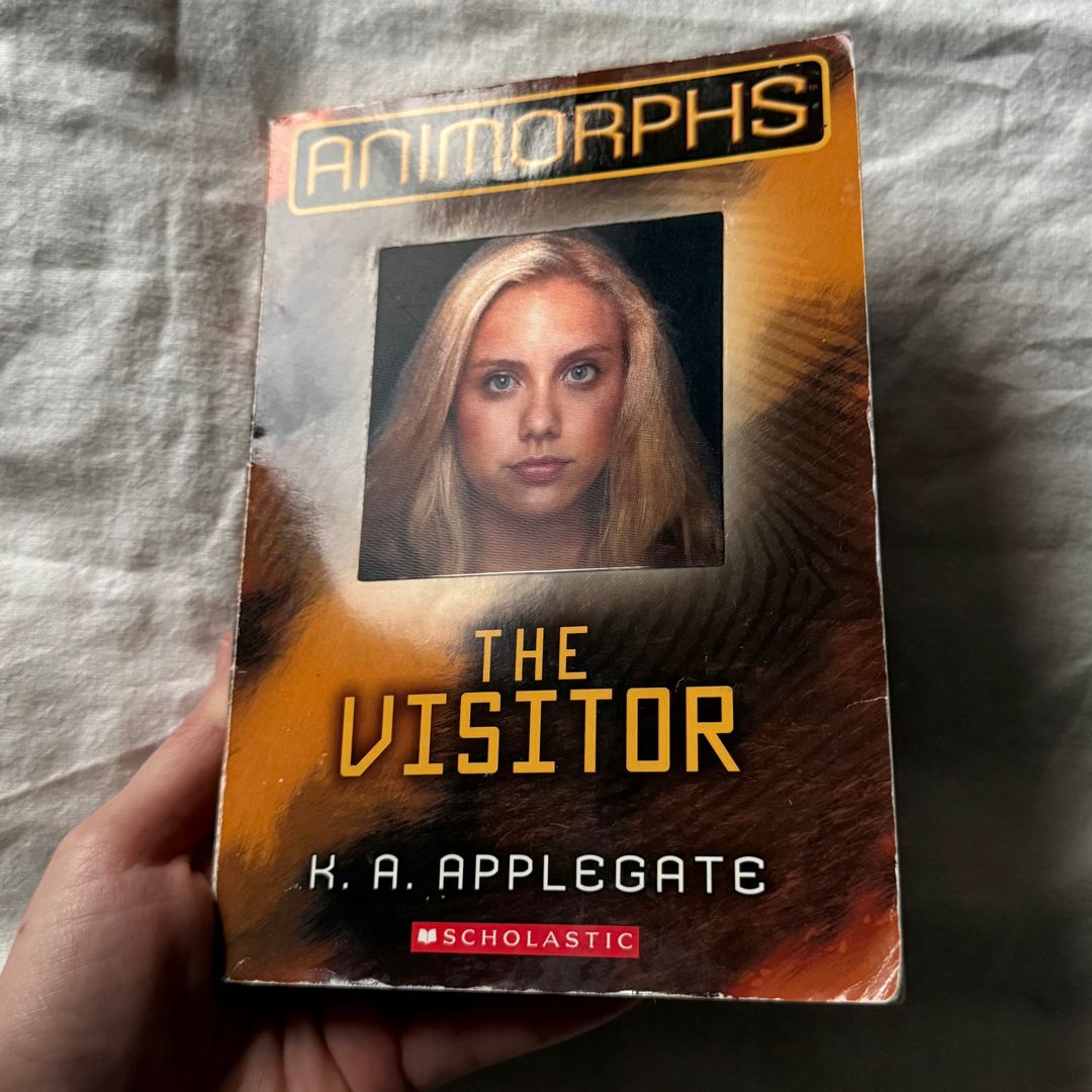 The Visitor