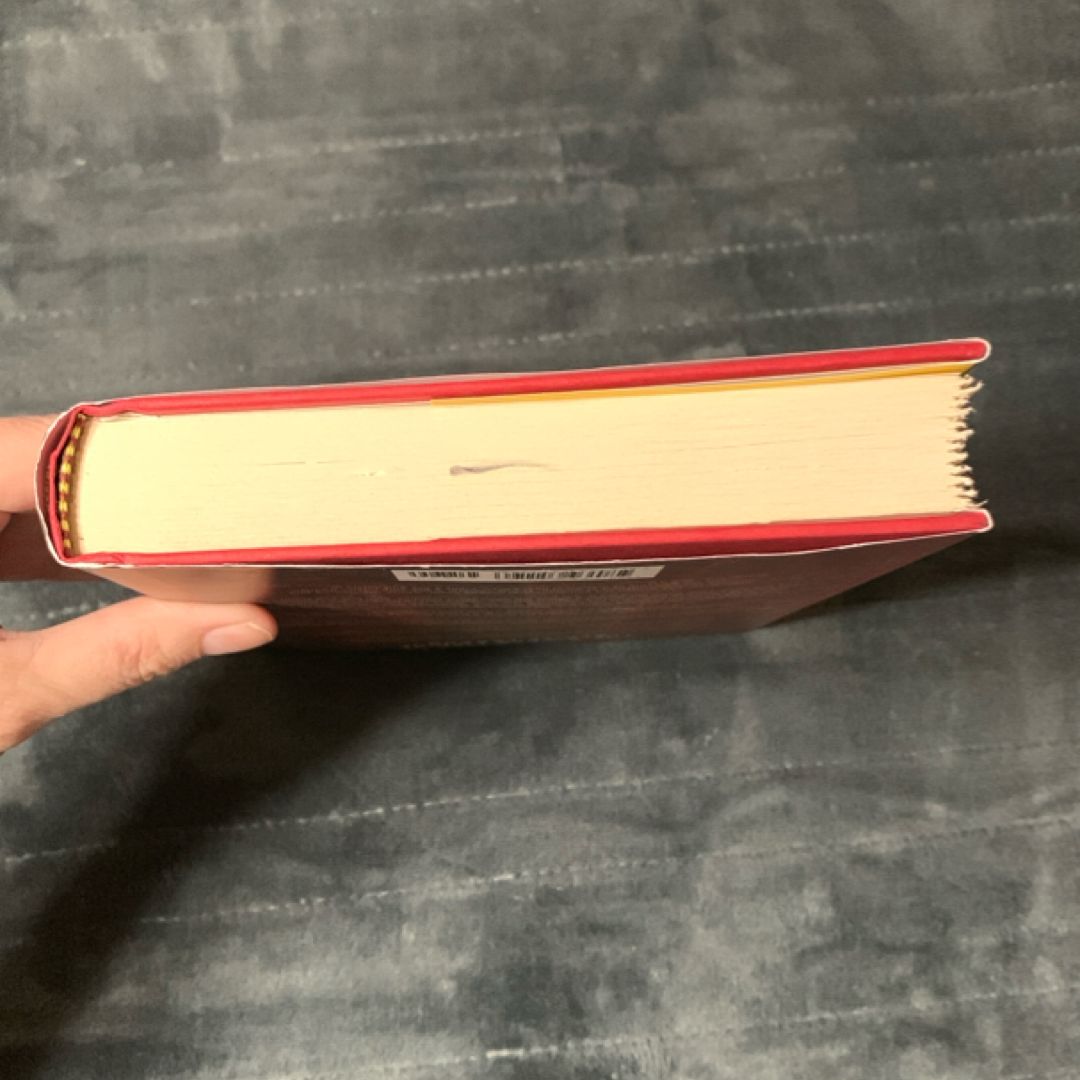 The Hidden Life of Cecily Larson (1st ed., new)
