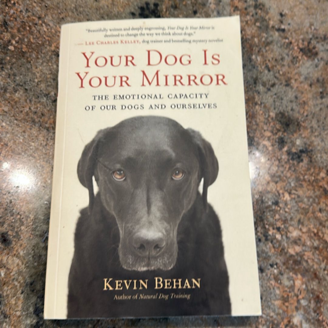 Your Dog Is Your Mirror