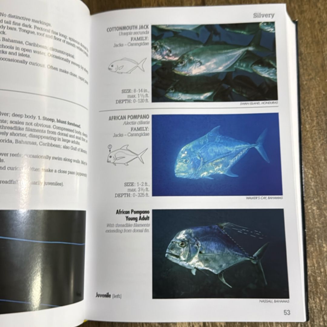 Reef Fish Identification - 4th Edition