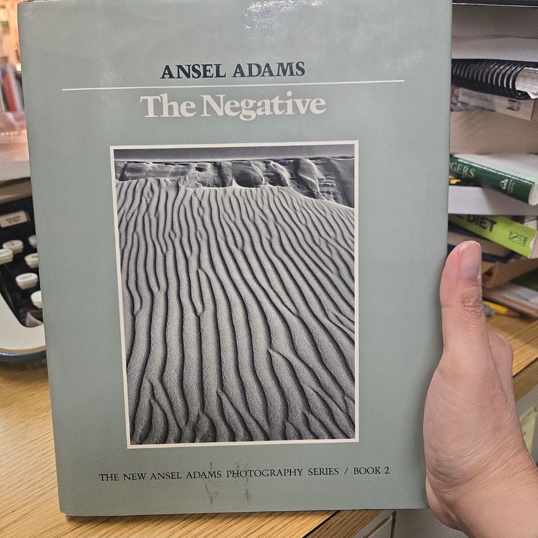 The Negative