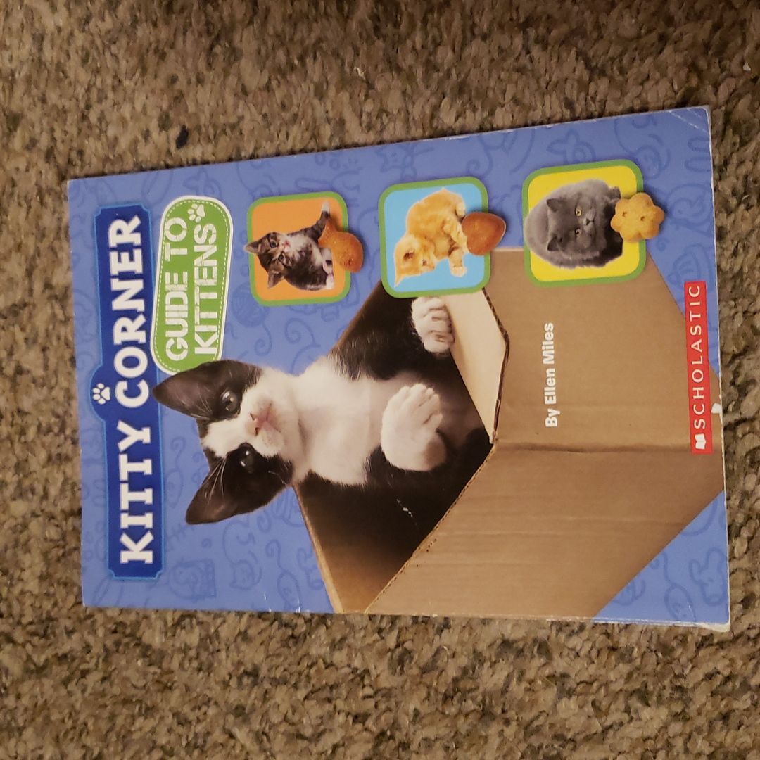 Kitty Corner: Guide to Kittens