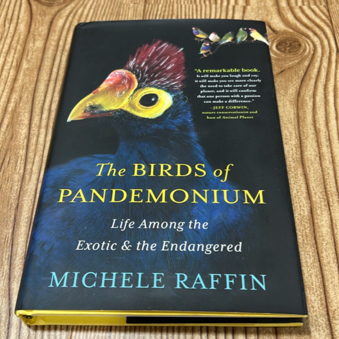 The Birds of Pandemonium