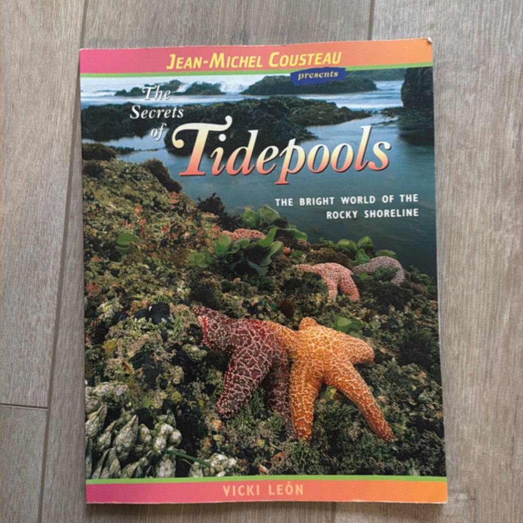 The Secrets of Tidepools