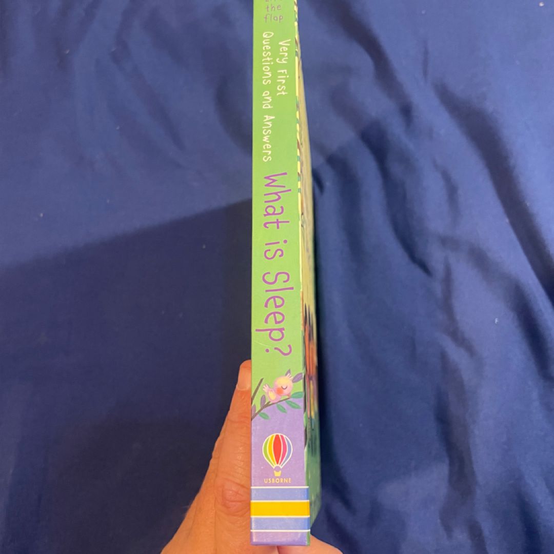 Lift-The-Flap Very First Questions and Answers What Is Sleep?