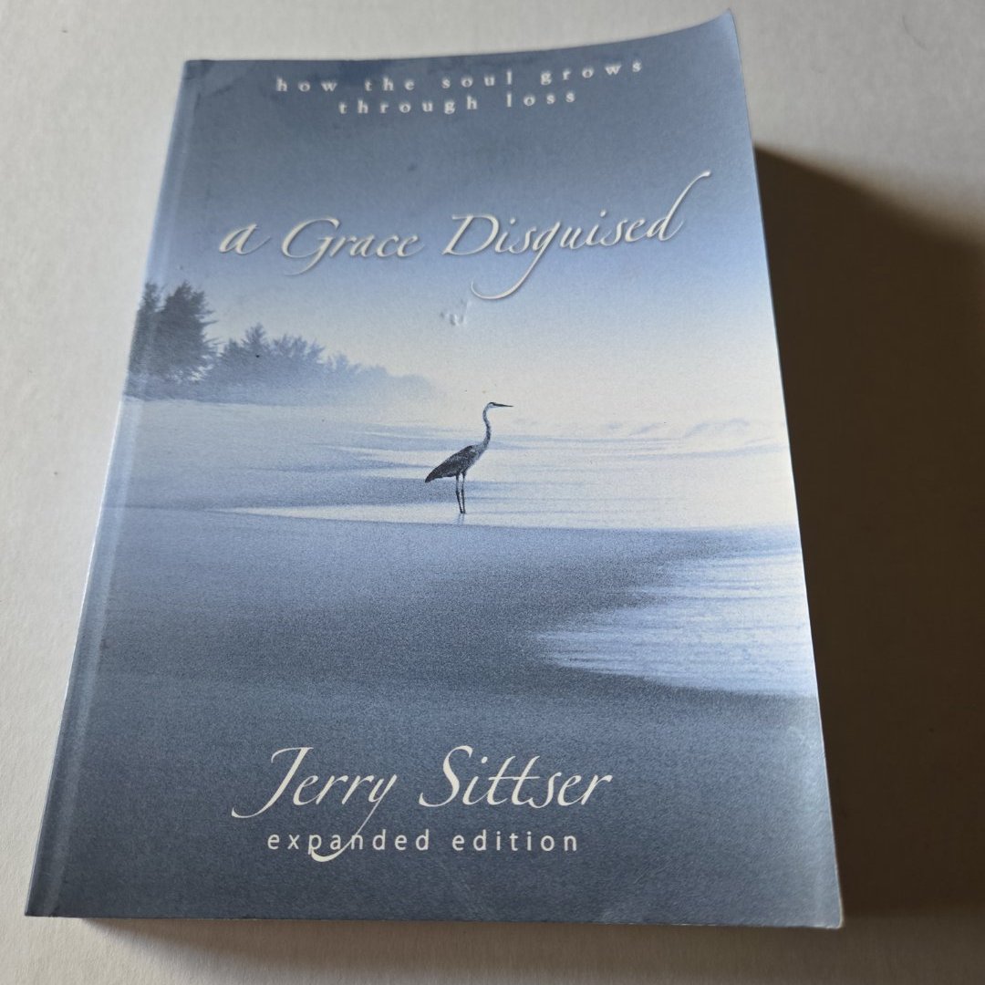 Grace Disguised