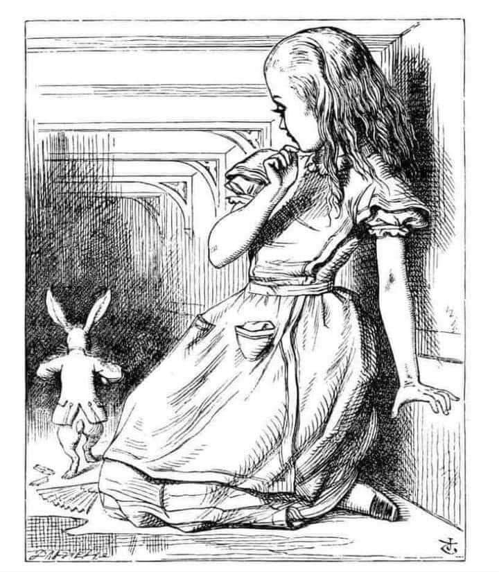 The White Rabbit
