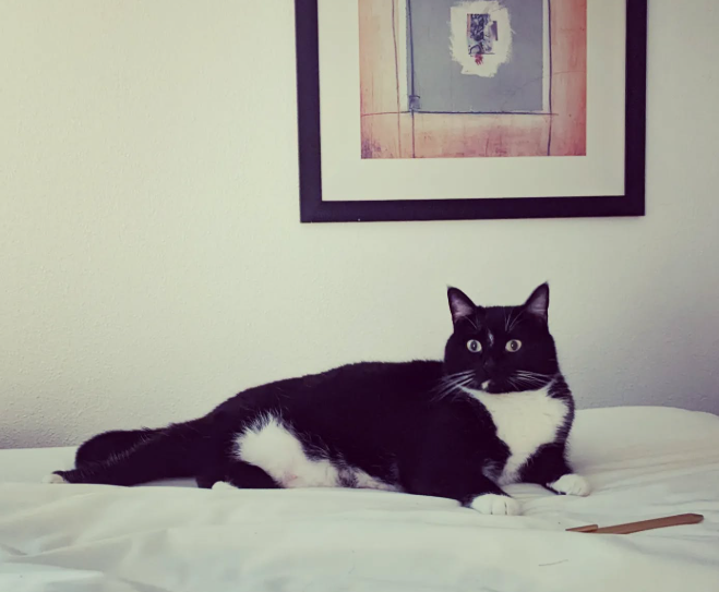 Emily at Main St. Books Monroe