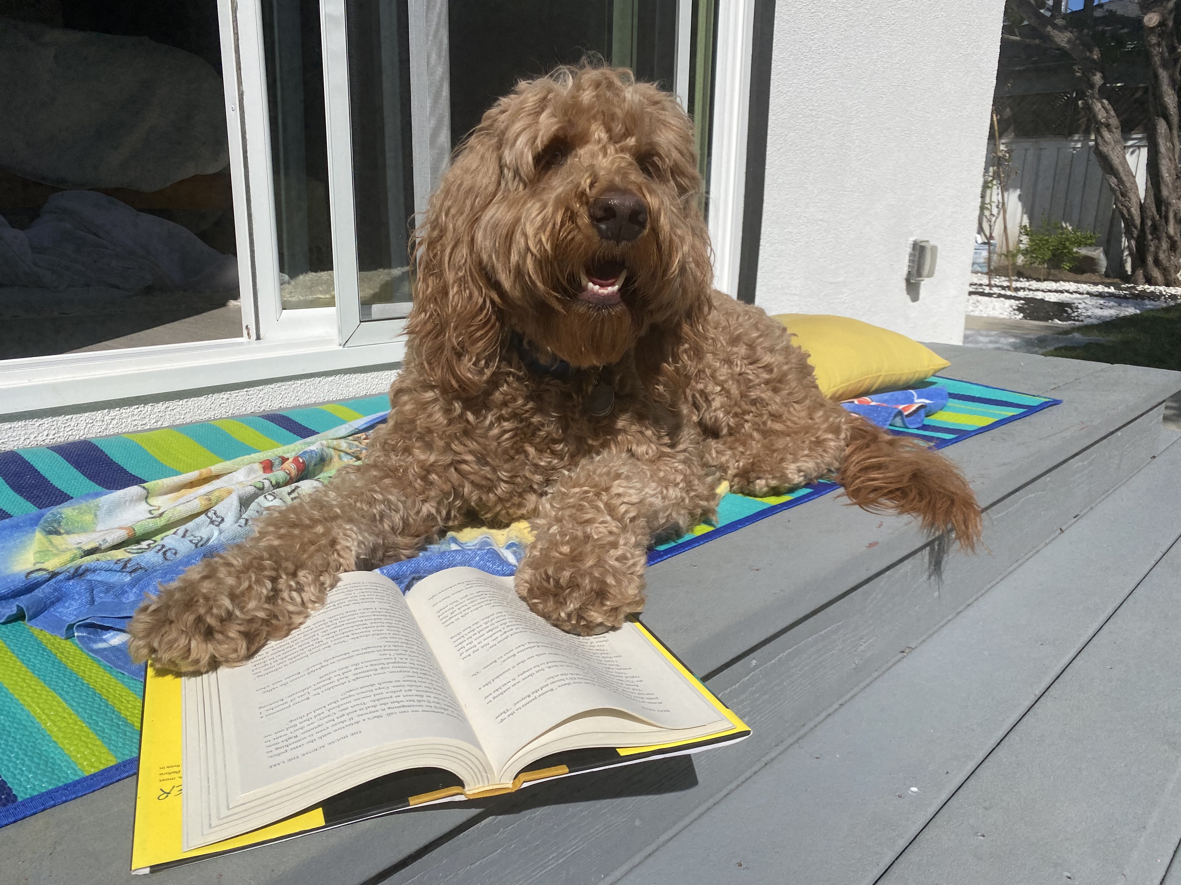 Nicole, Paddington’s Mom