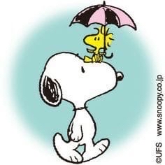 Let's Turn This Around