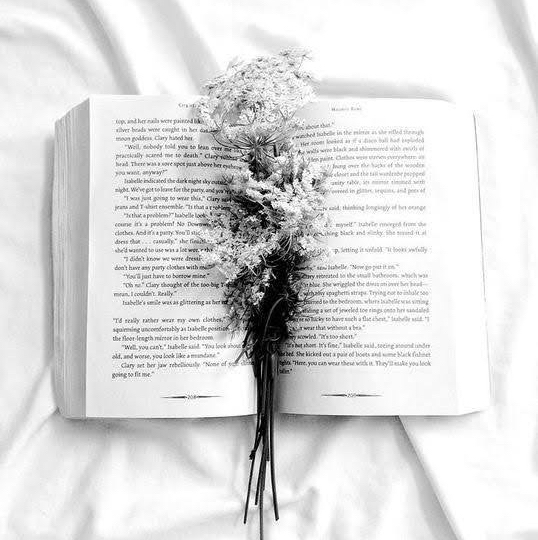 Gigi’s Books