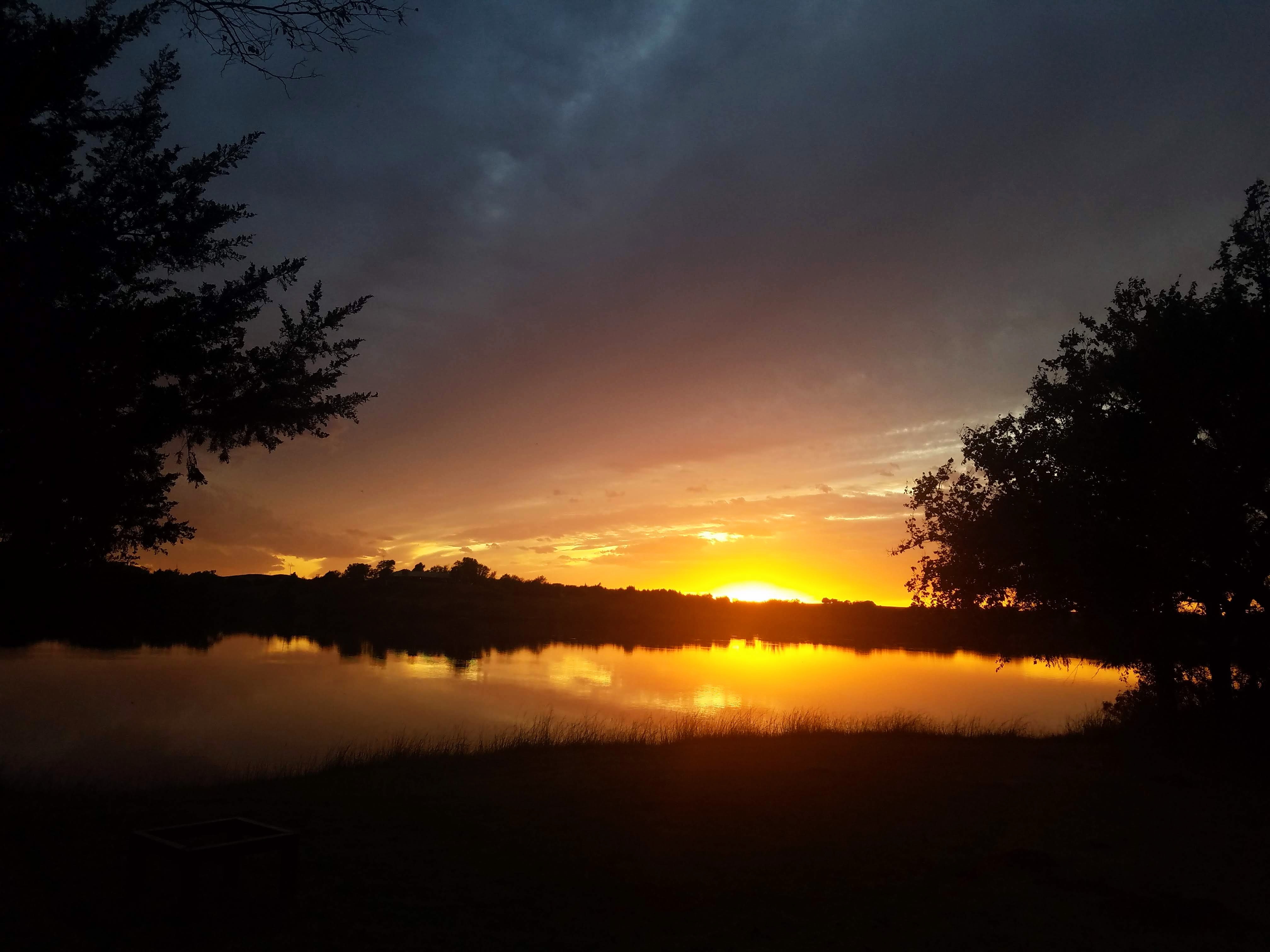 Sarah's Little Bookshop