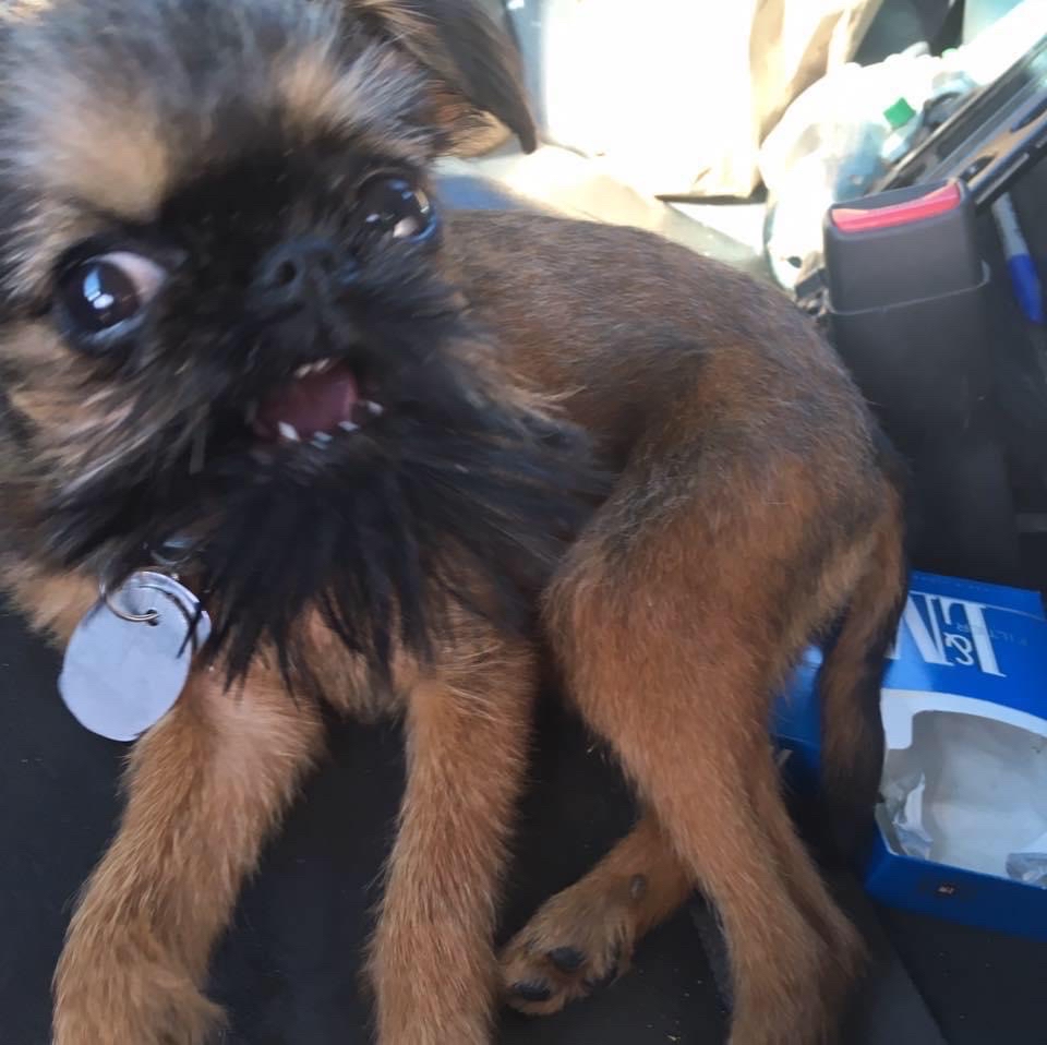 message forafreebook