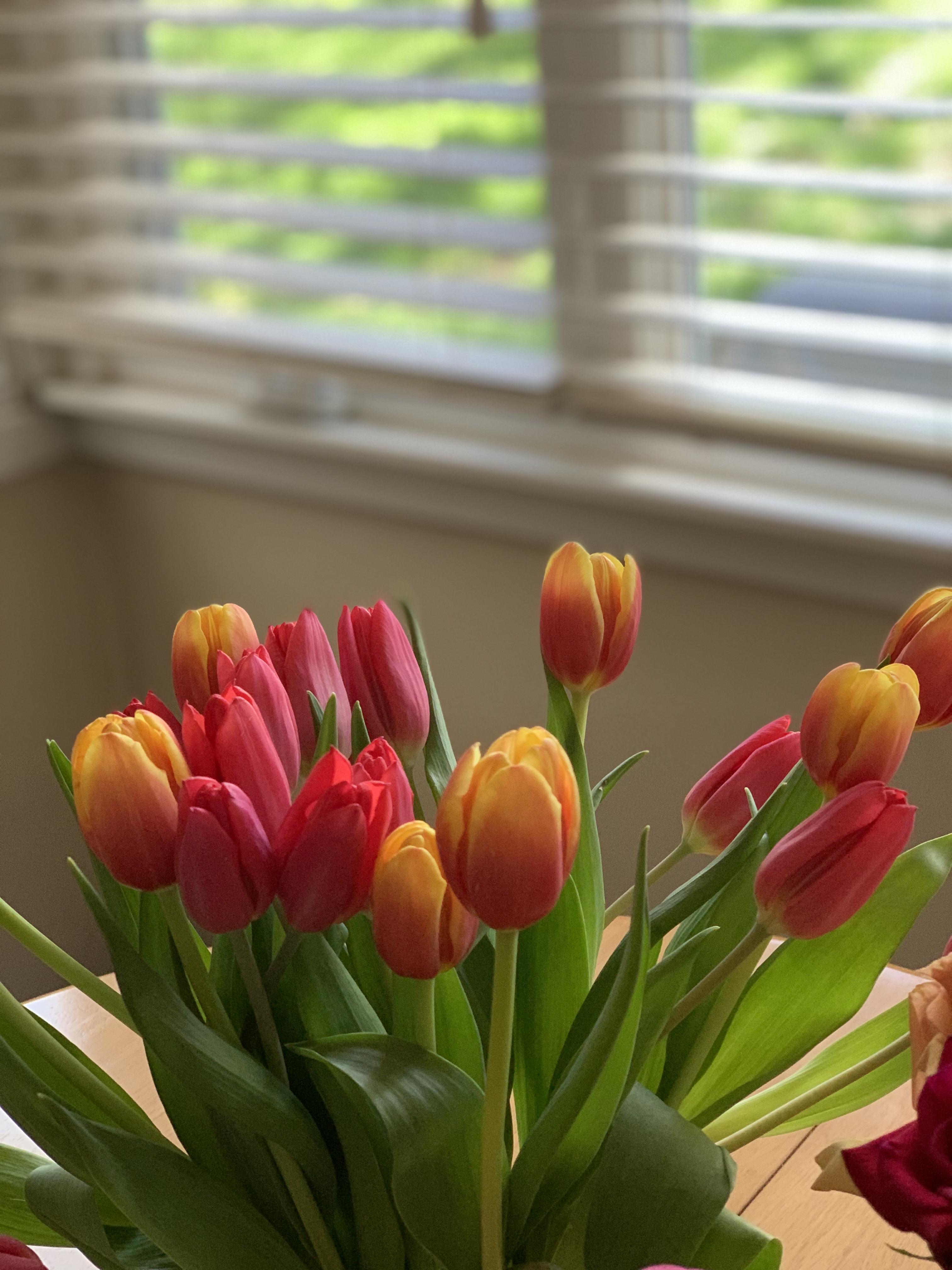 Readingandranunculus