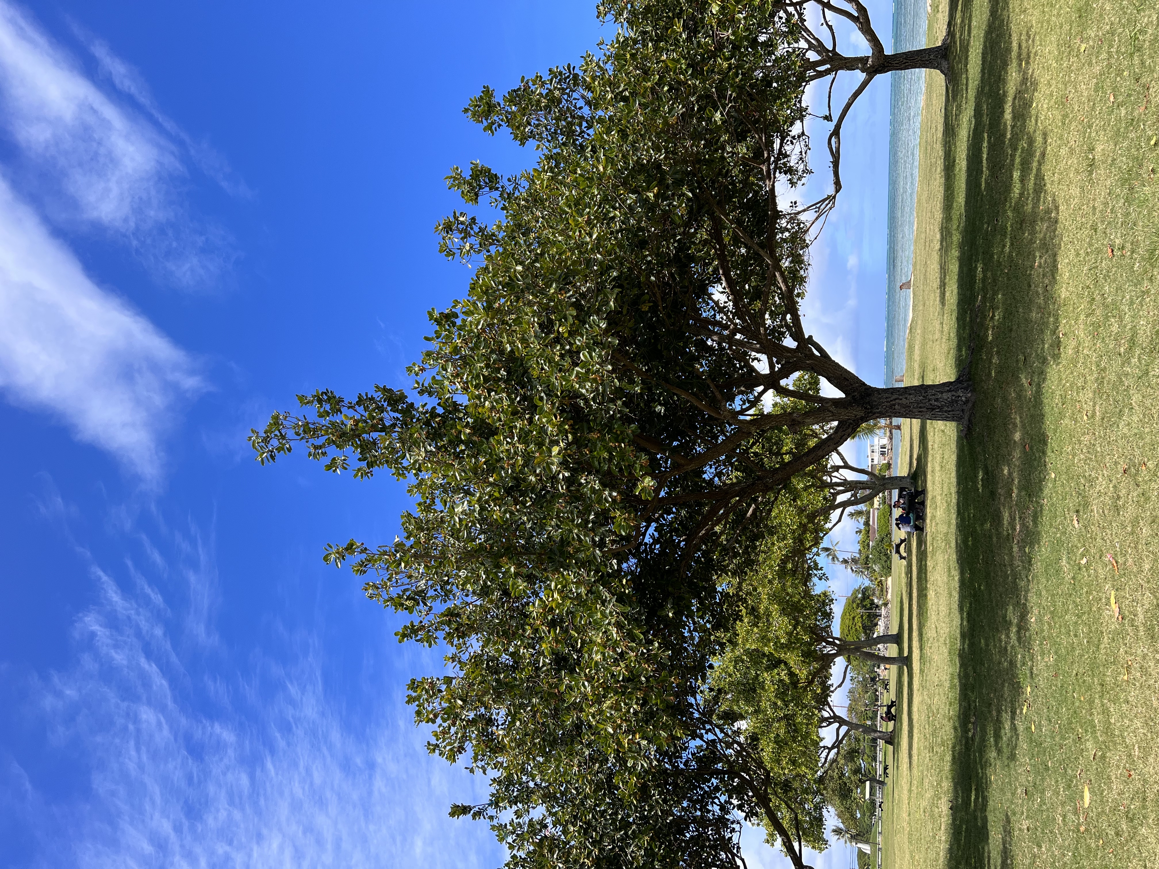 Kristin’s Bookshelf