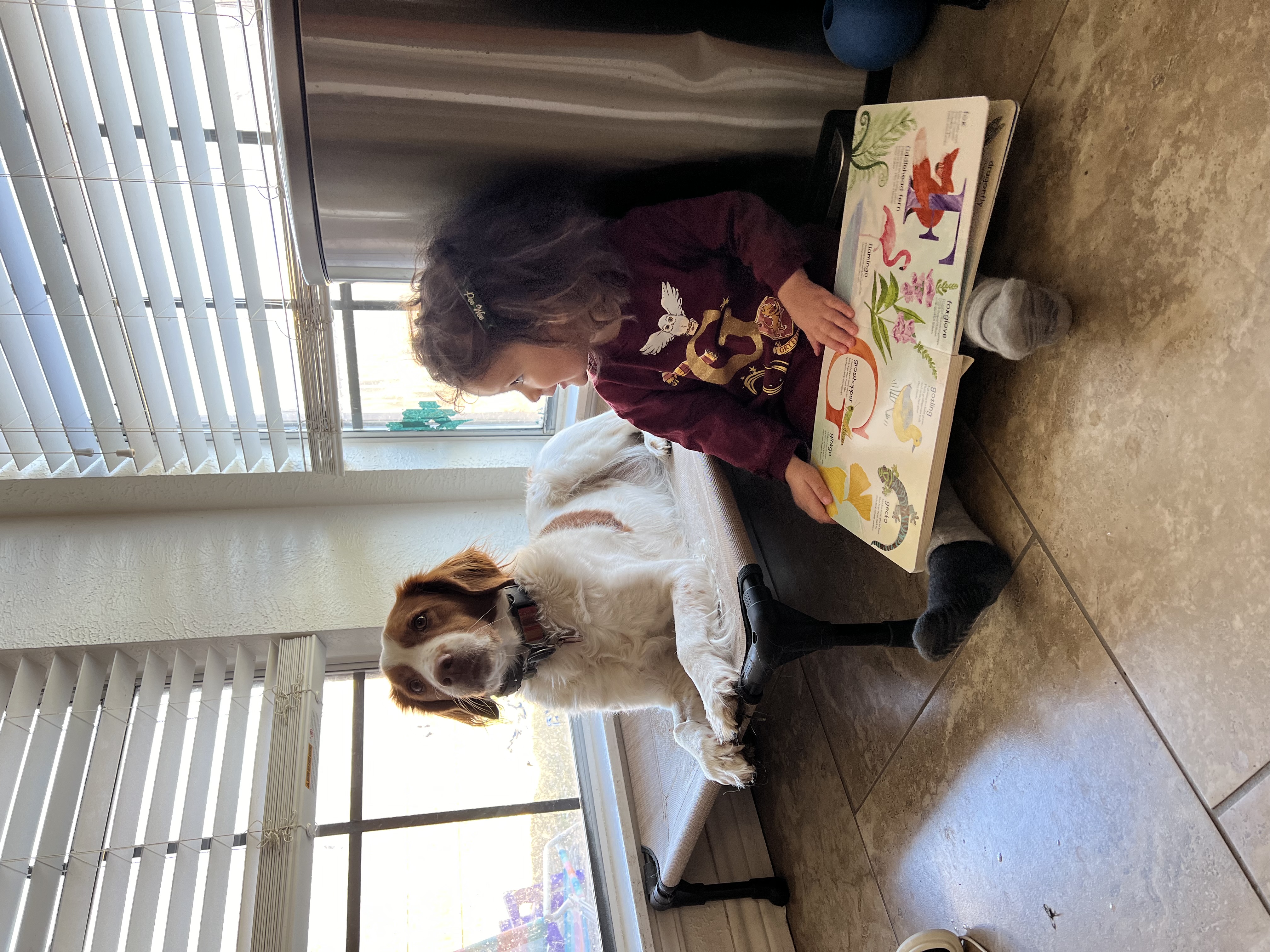 Frankie’s Book Nook