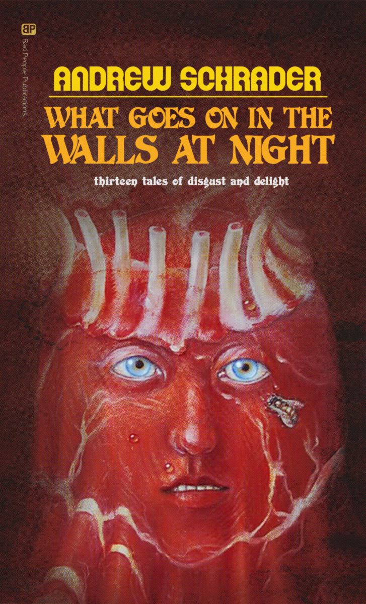 What Goes on in the Walls at Night