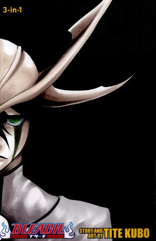 Bleach (3-In-1 Edition), Vol. 14