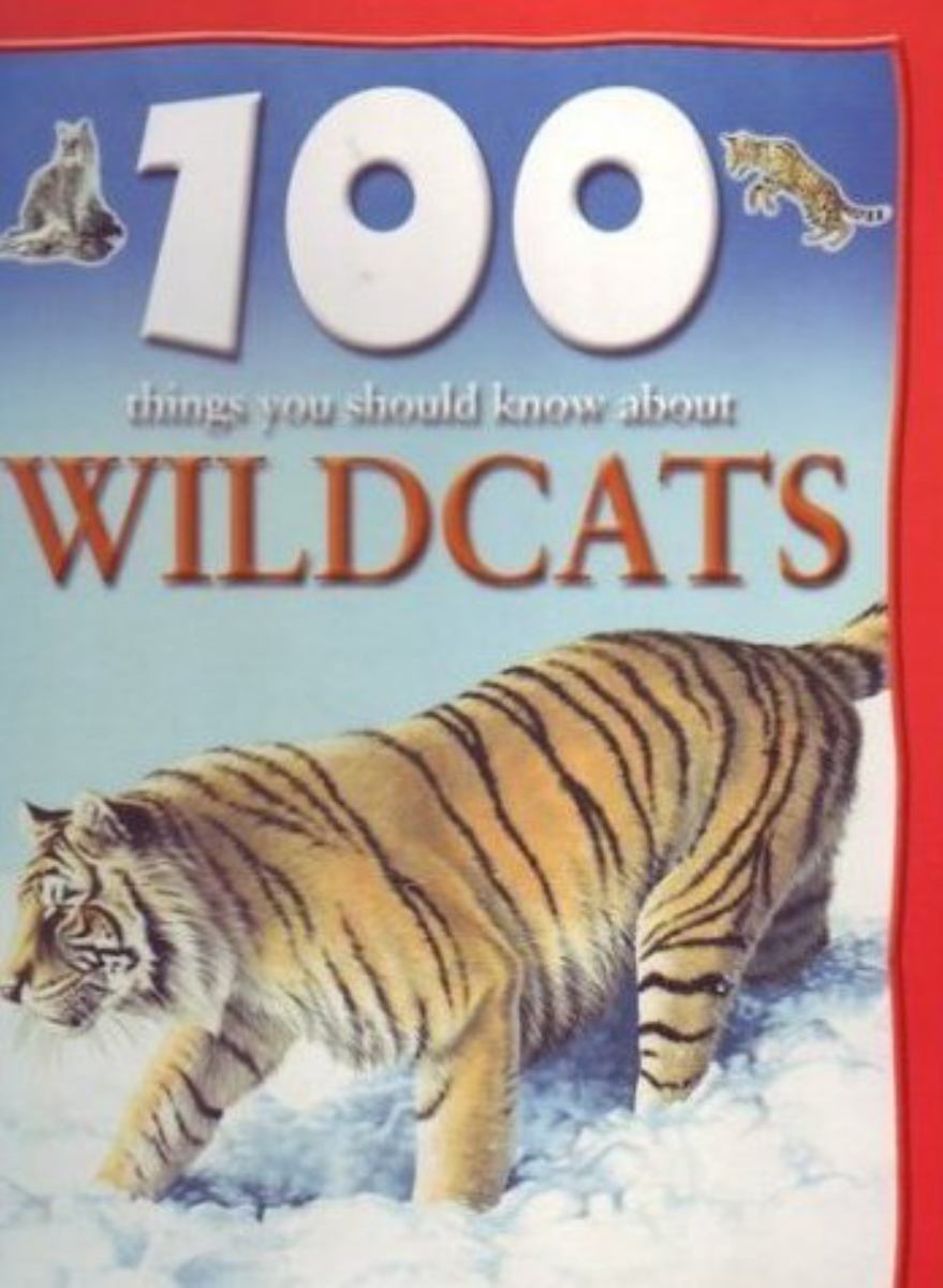 100 Things You Should Know about Wildcats