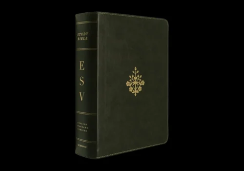 ESV Study Bible, Large Print (TruTone, Olive, Branch Design)