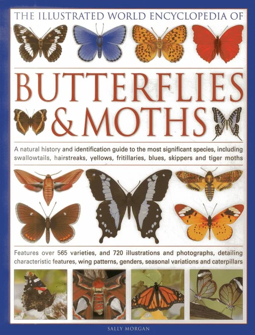 The Illustrated World Encyclopedia of Butterflies and Moths