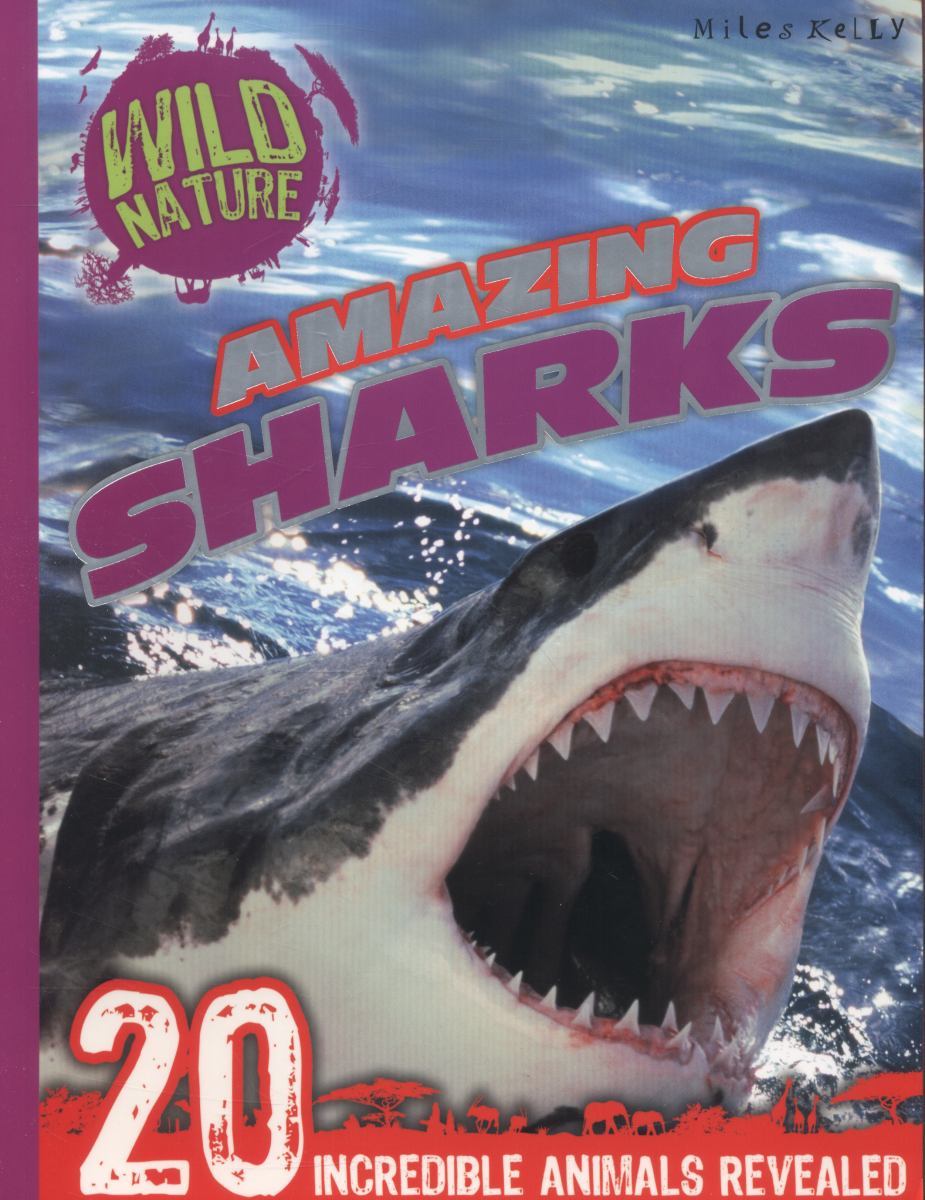 Amazing Sharks
