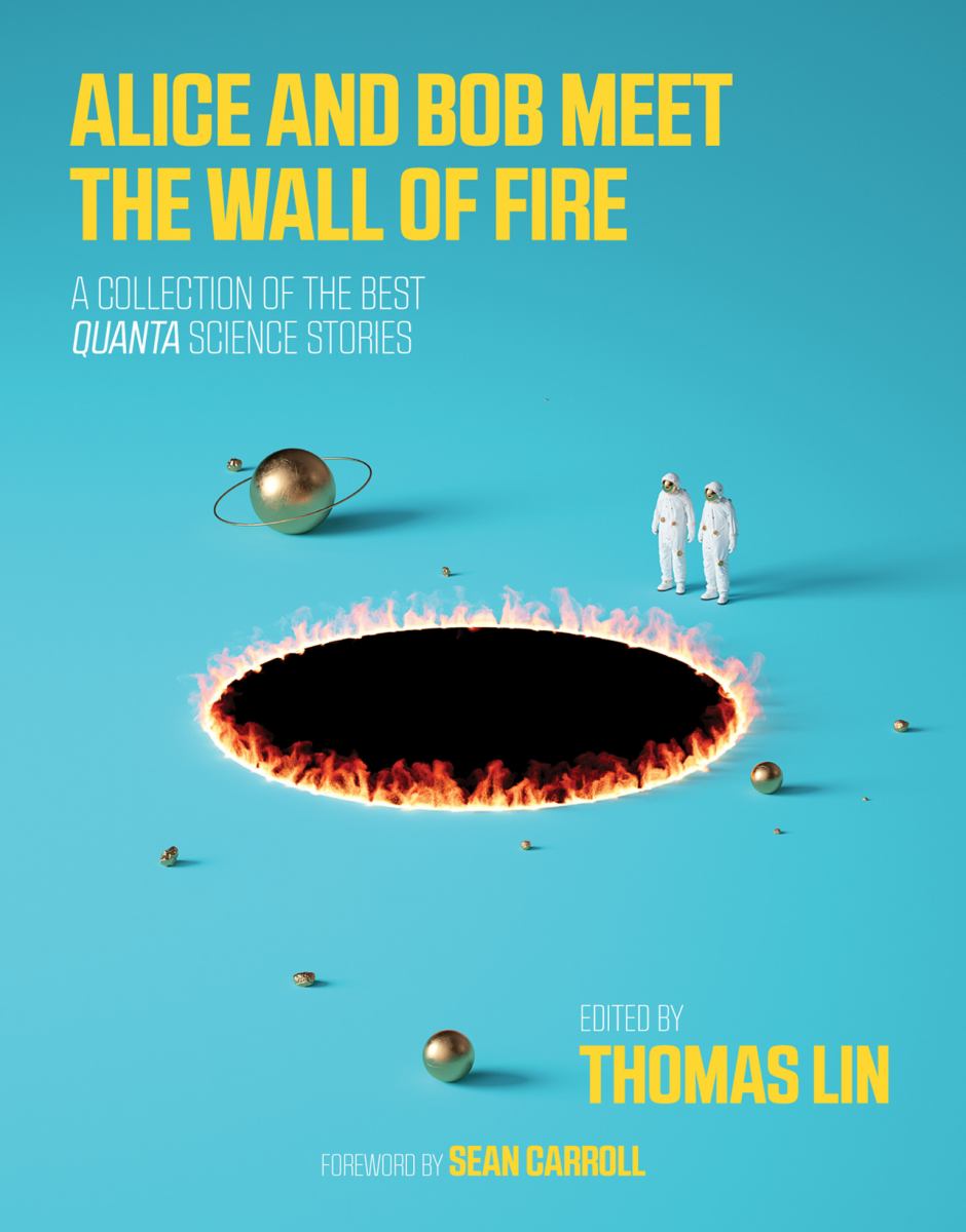 Alice and Bob Meet the Wall of Fire