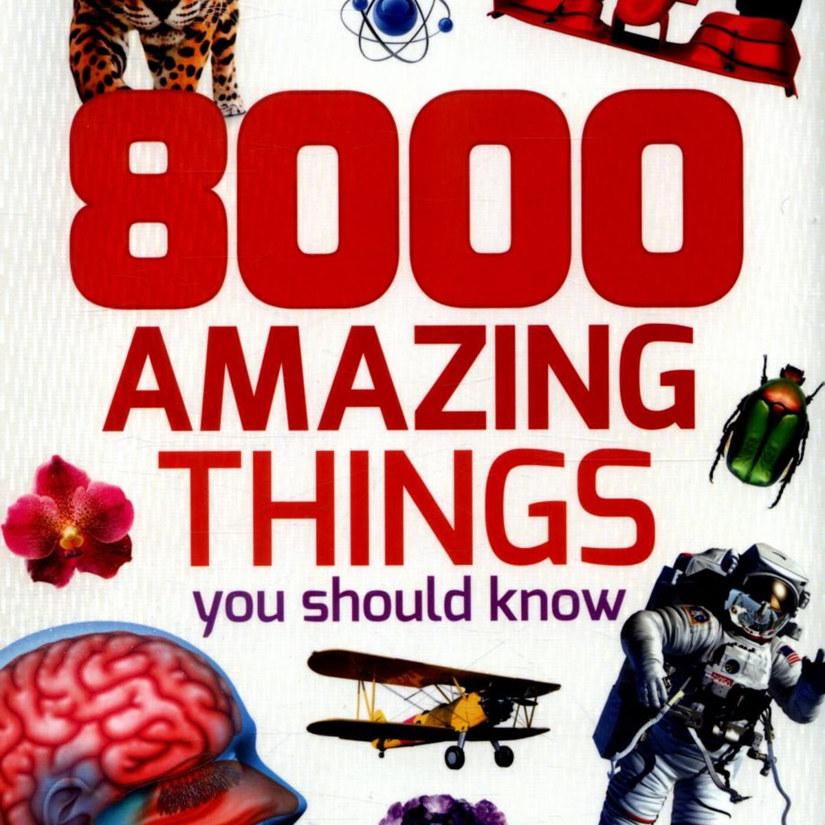 8000 Amazing Things You Should Know by Miles Kelly