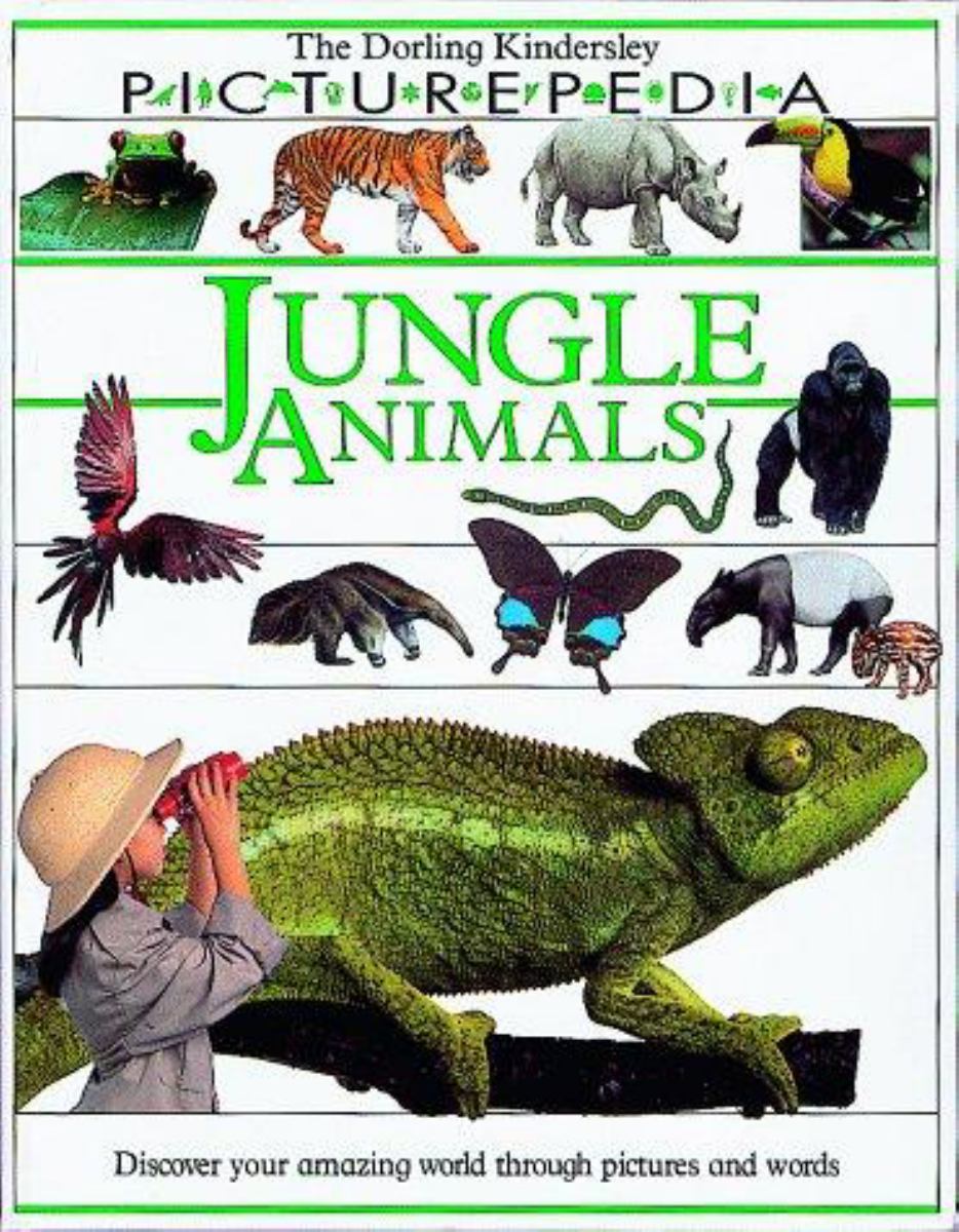 Jungle Animals