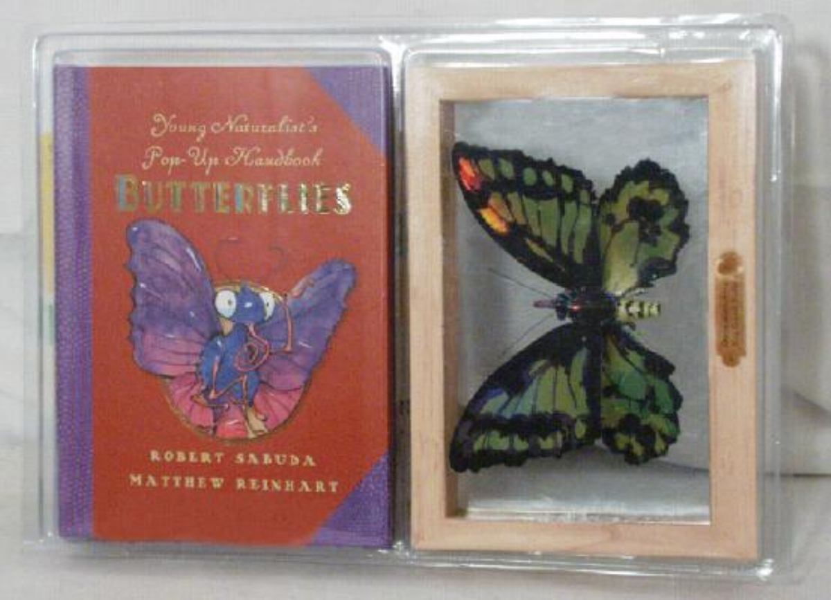 Butterflies