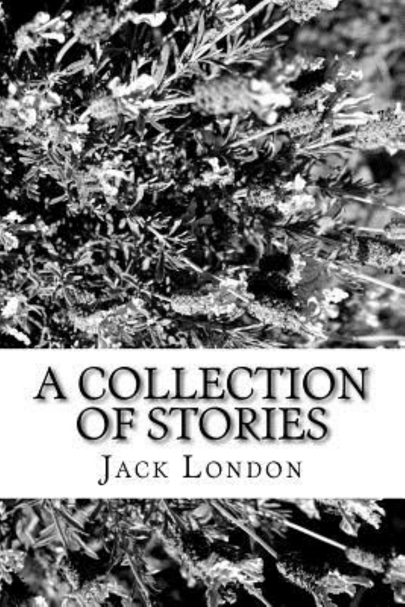 A Collection of Stories