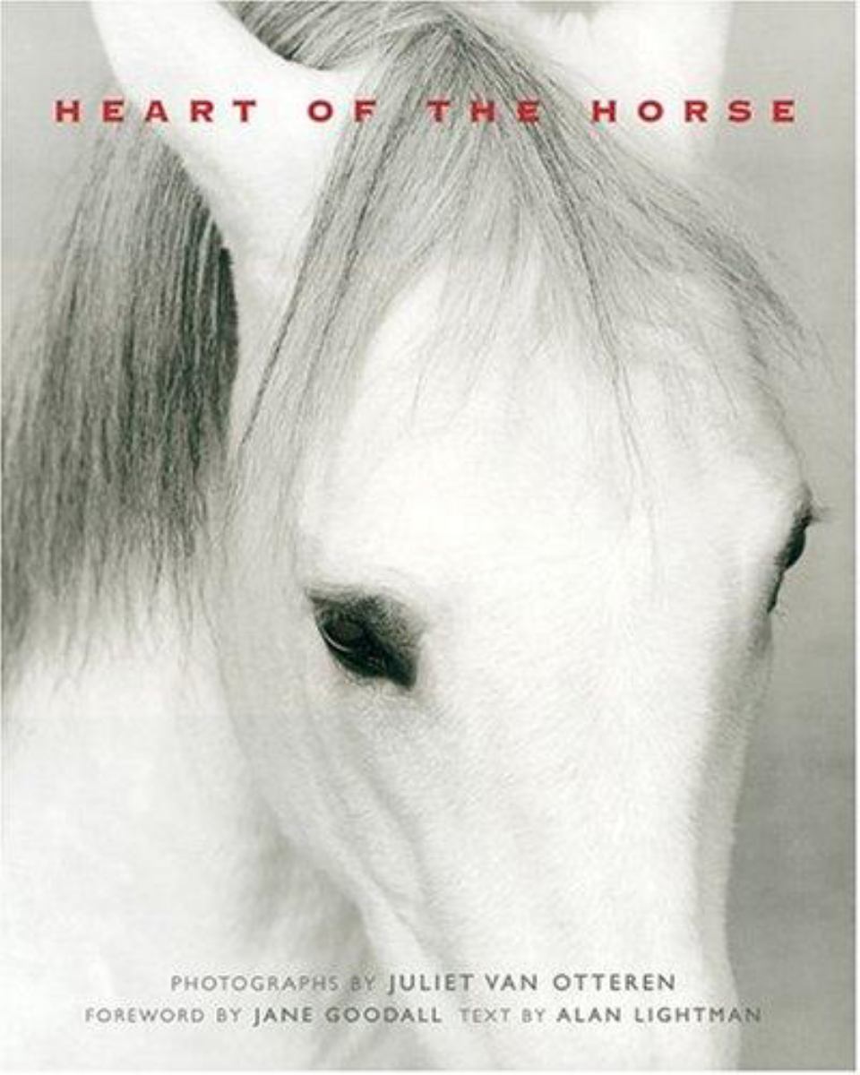 Heart of the Horse