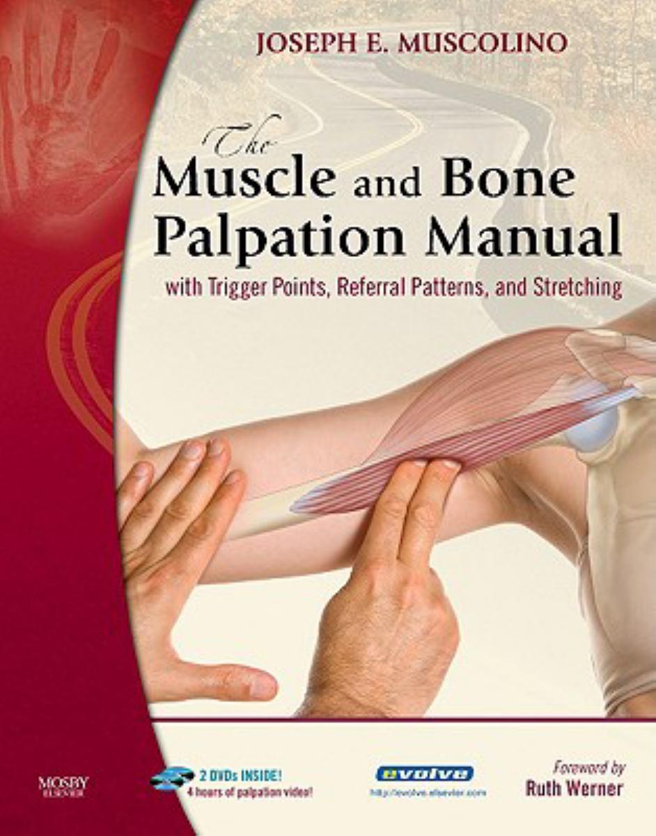 The Muscle and Bone Palpation Manual with Trigger Points, Referral ...