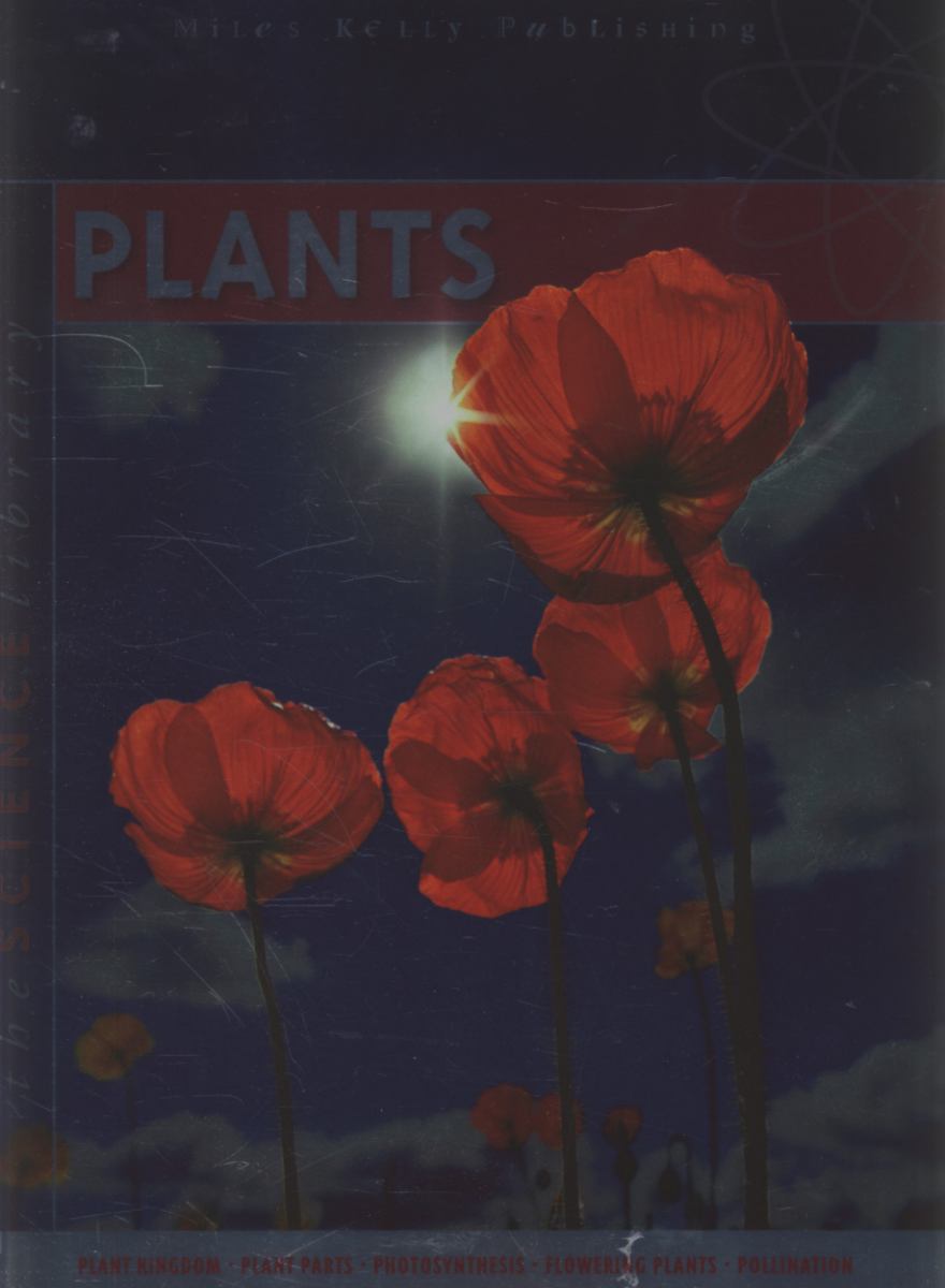 Plants