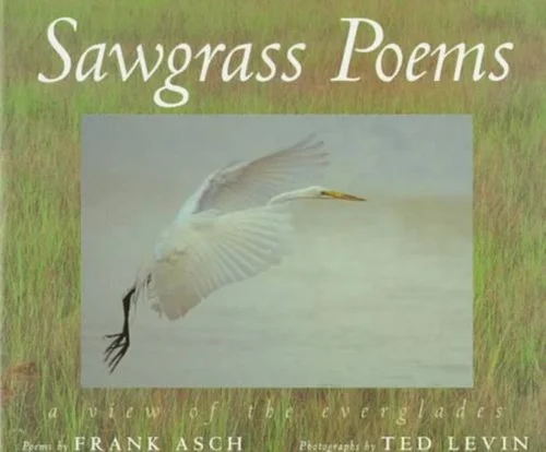 Sawgrass Poems