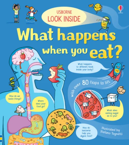 Look Inside: What Happens When You Eat BB