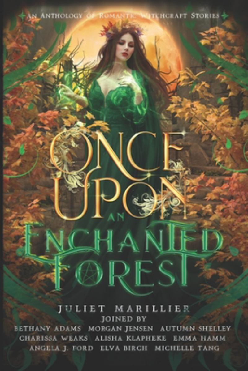 Once upon an Enchanted Forest