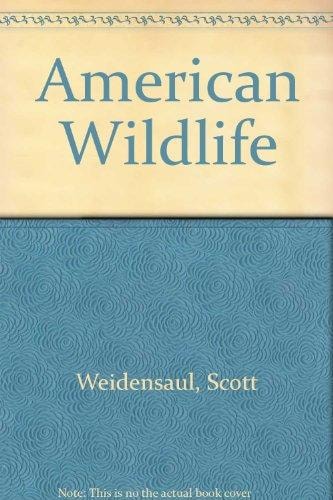 American Wildlife