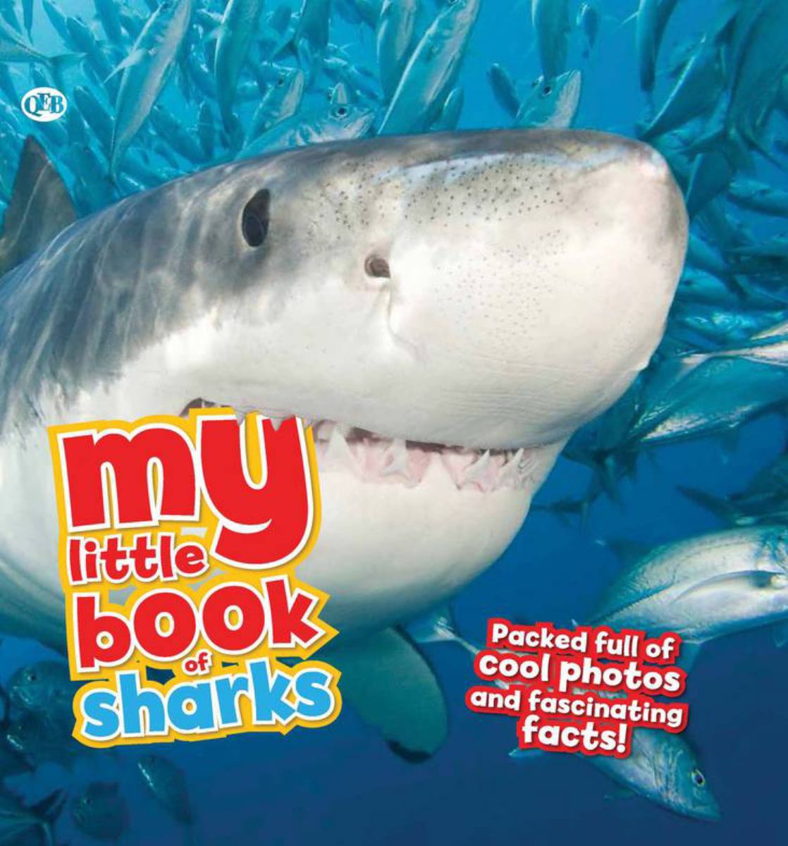 My Little Book of Sharks