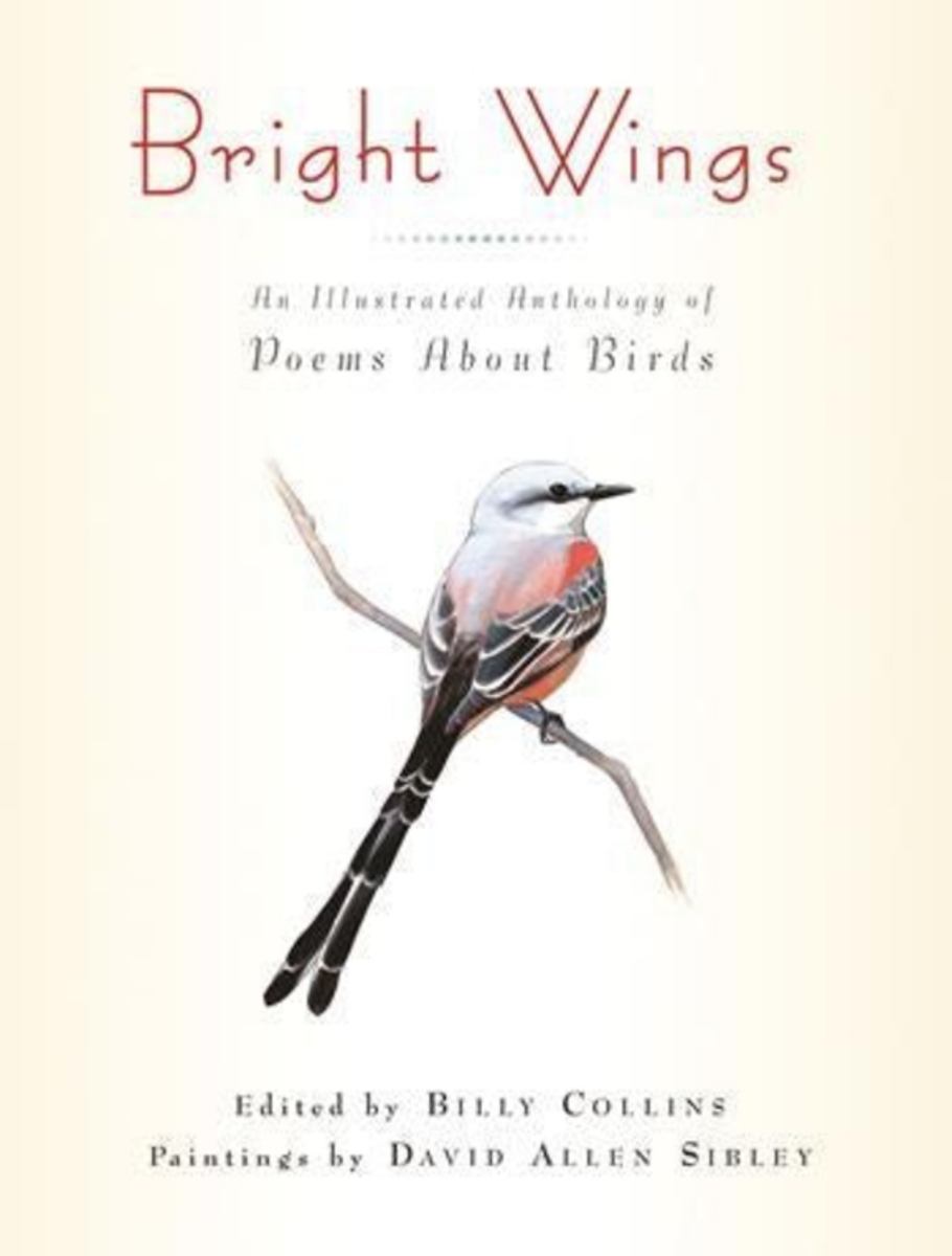 Bright Wings