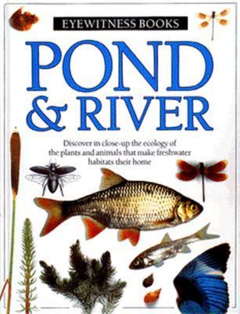 Pond and River